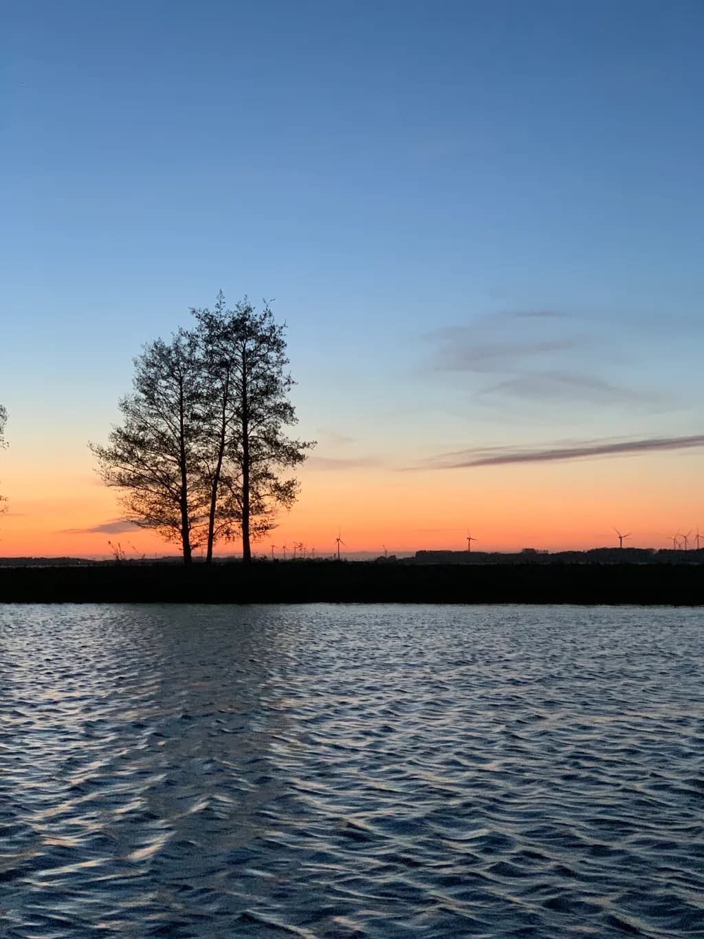 Dusk Silhouettes