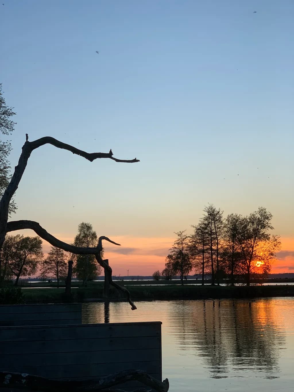 Sunset Silhouettes