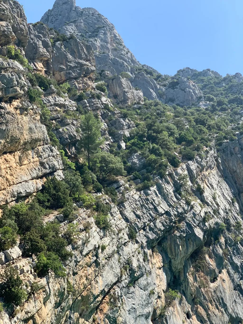 Rockface Ridge