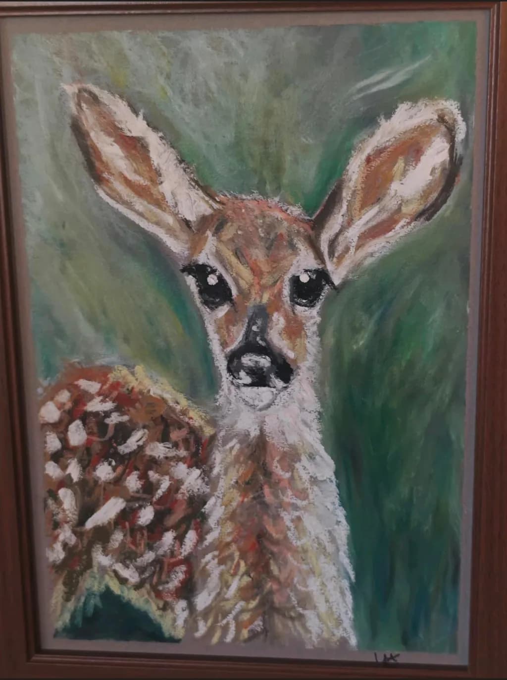 Fawn Gaze