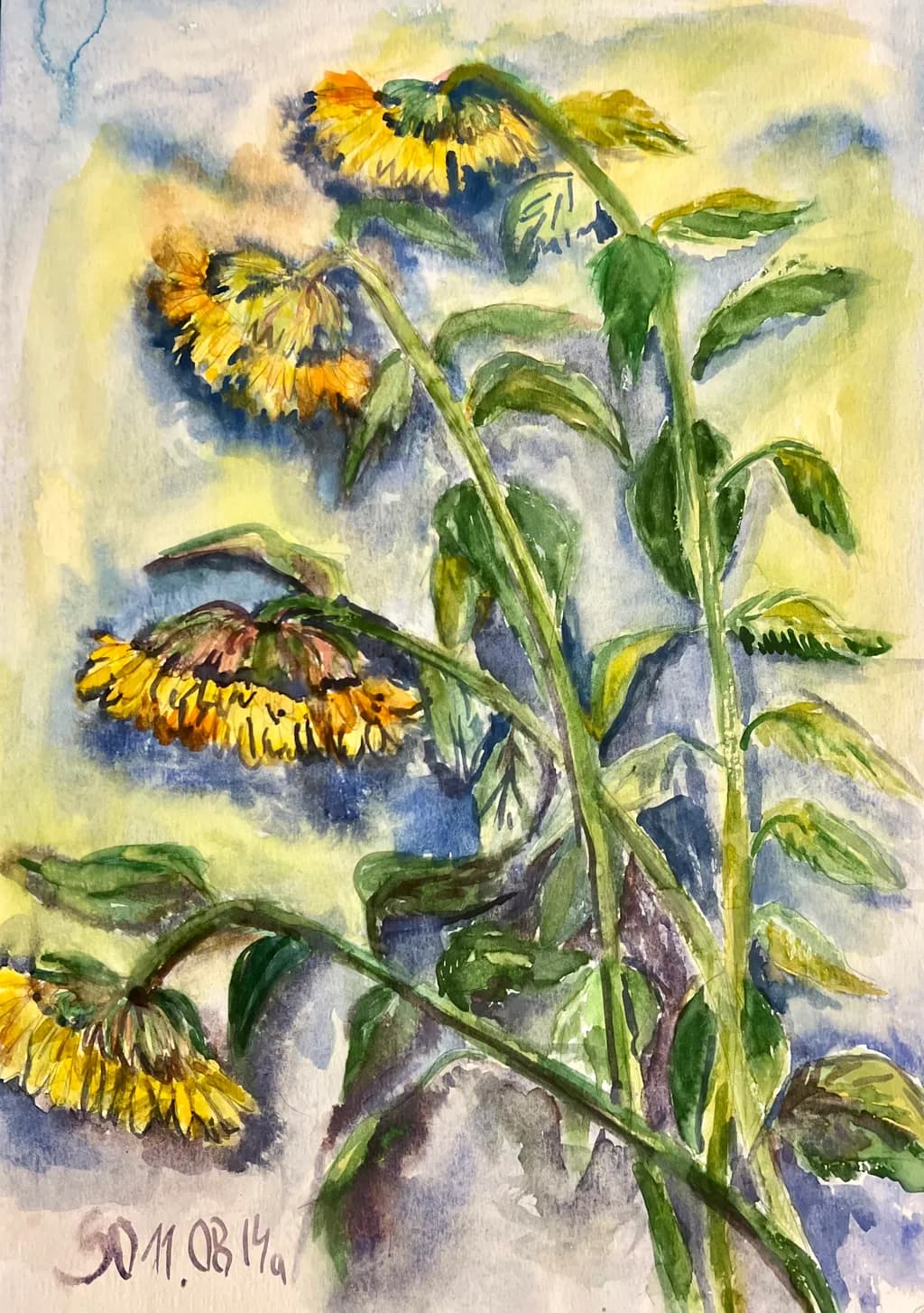 Fading Sunflowers