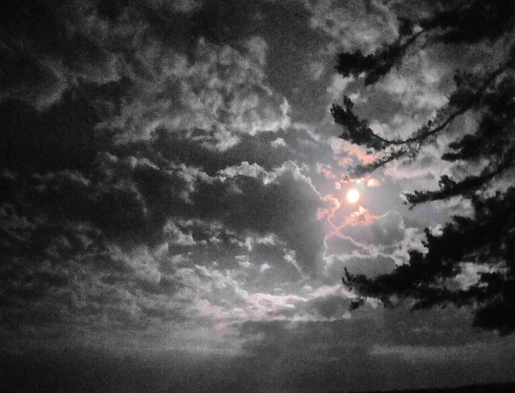 Moonlit Veil