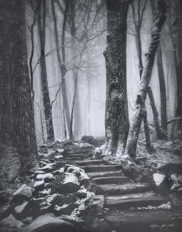 Murky 