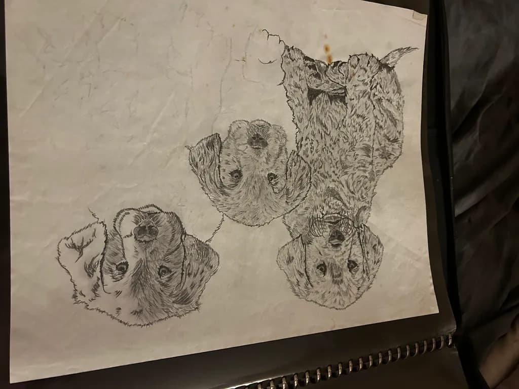 Three Pups Sketch