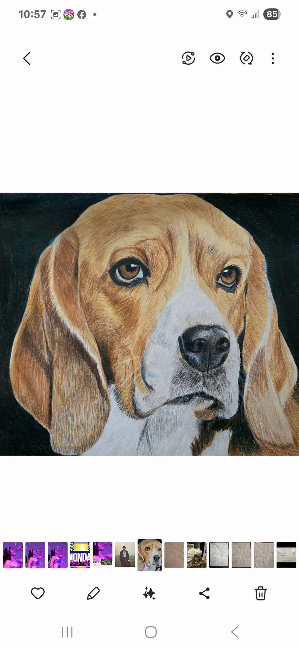 Watching Beagle