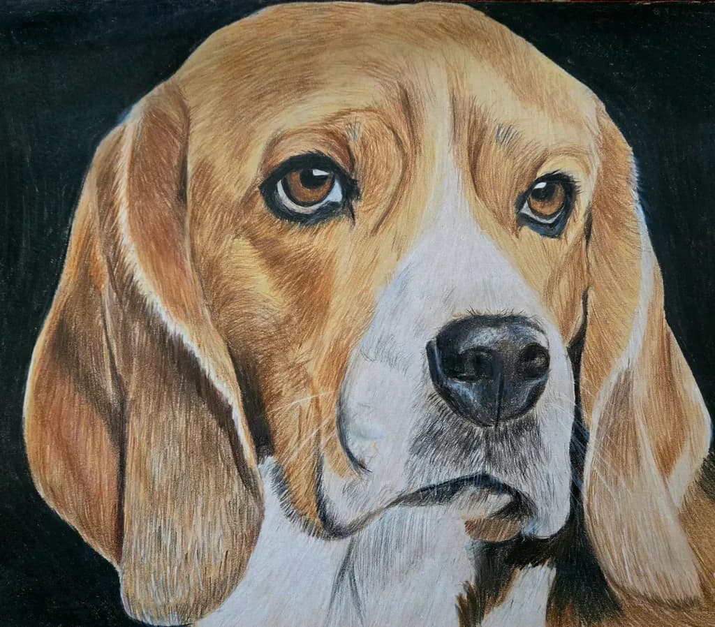 Reflective Beagle