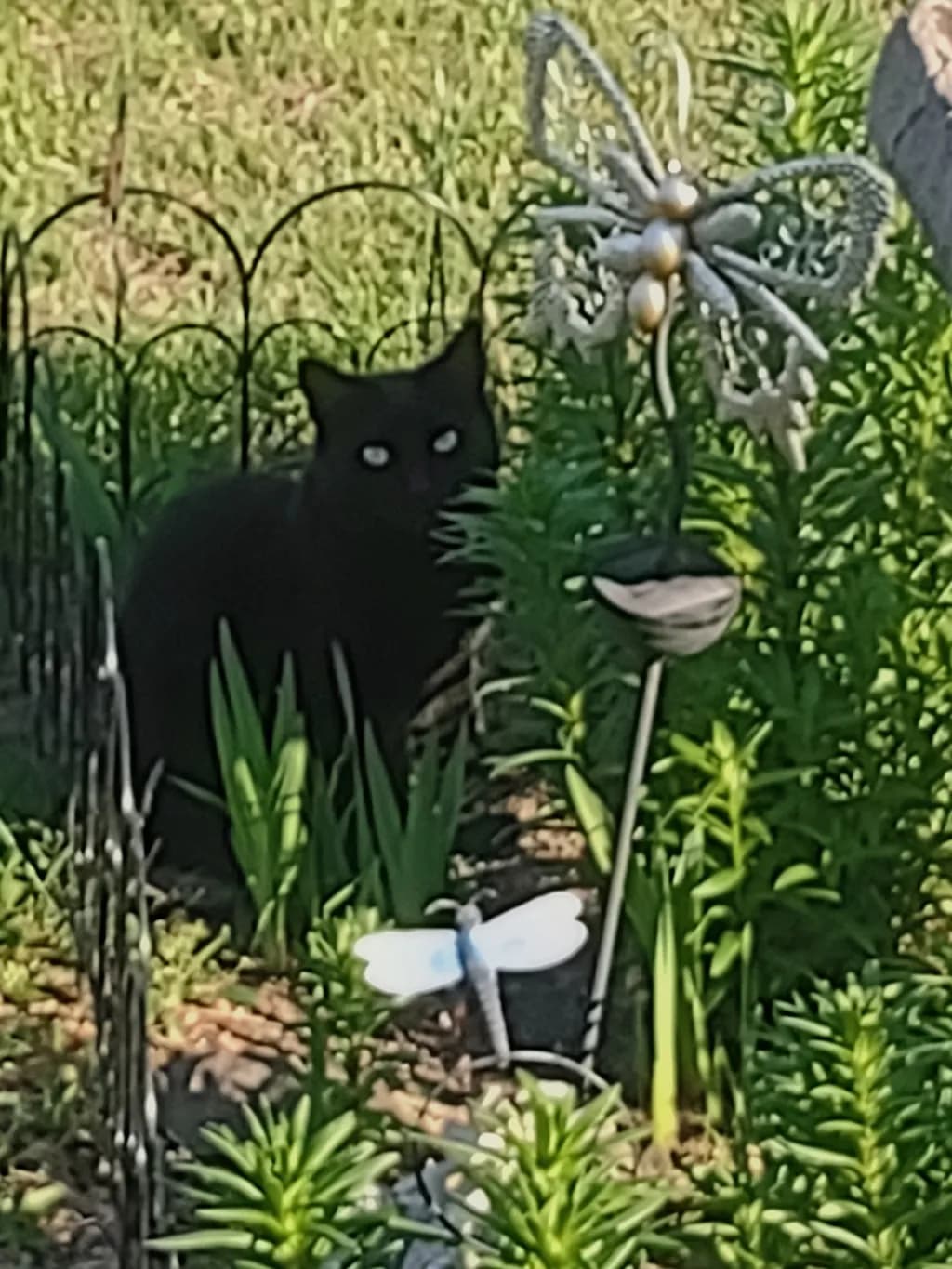 Garden Guardian