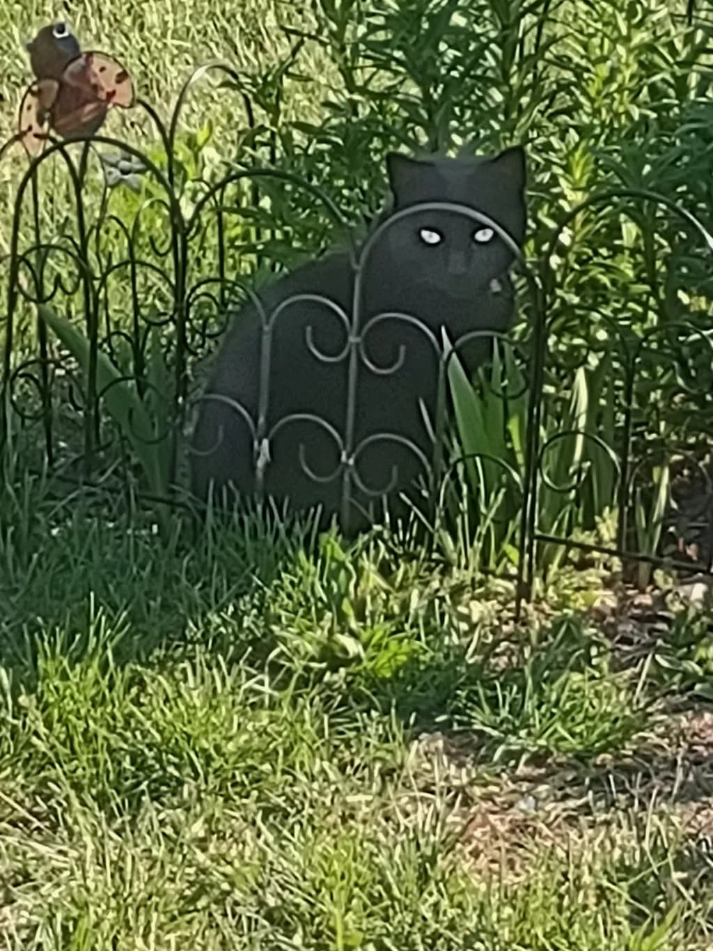 Garden Guardian Cat