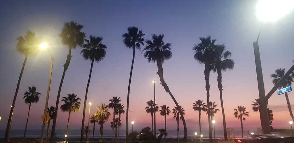 Coastal Twilight