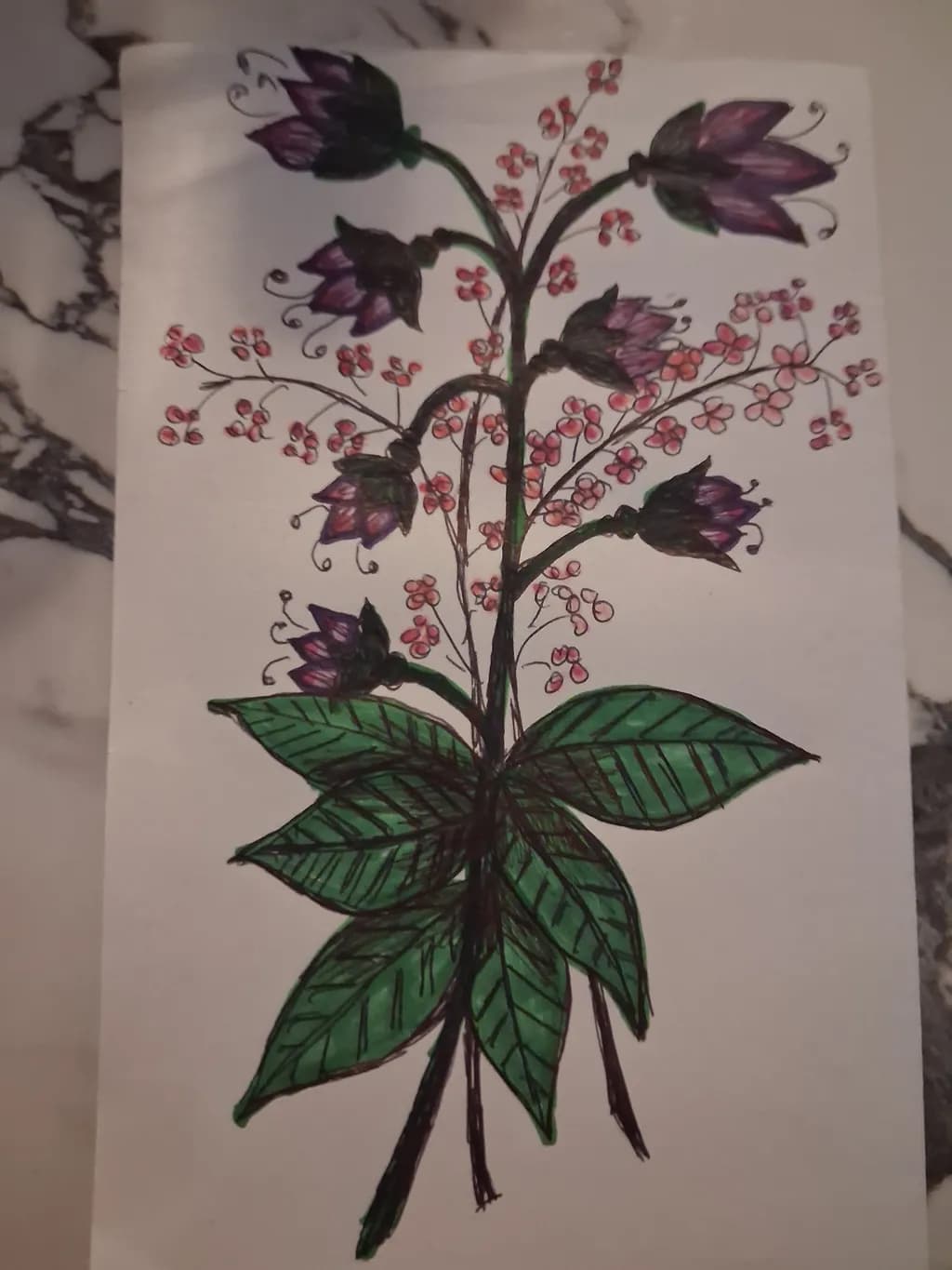 Botanical Bloom
