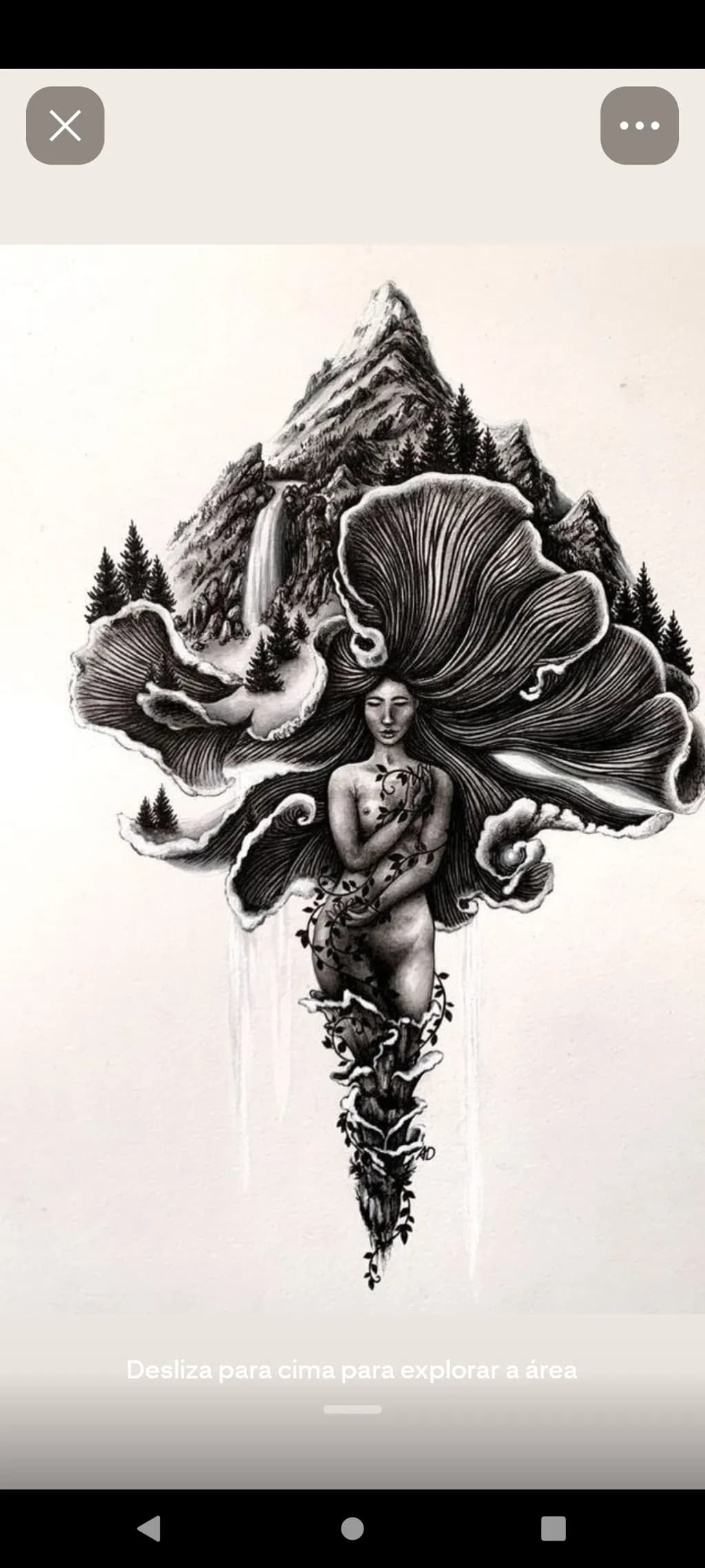 Mountain Muse