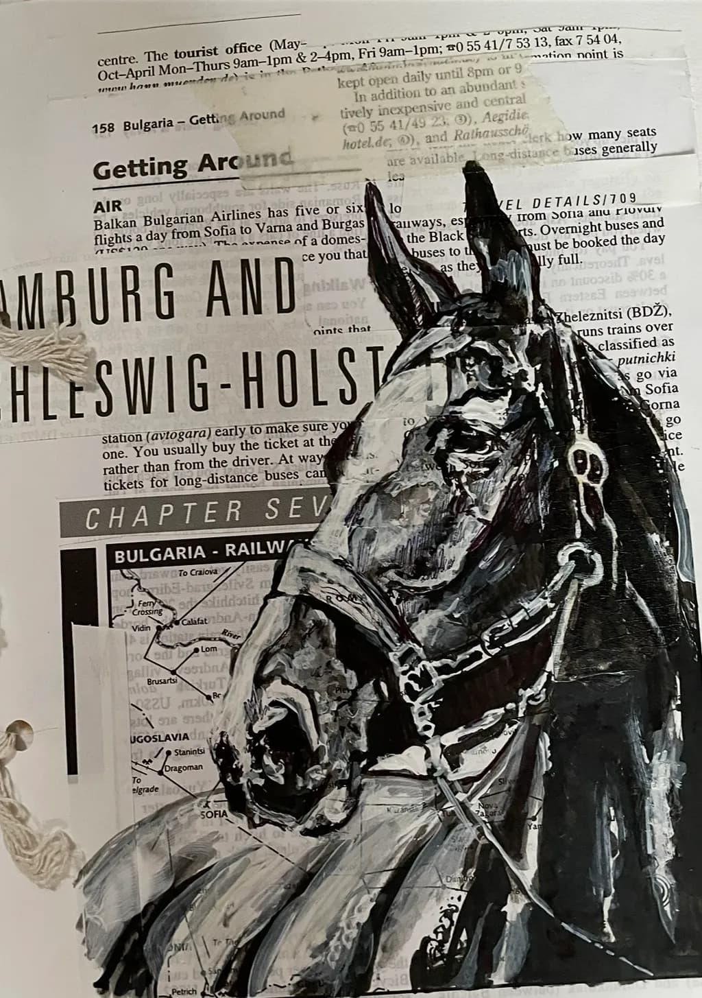 Bridled Journey