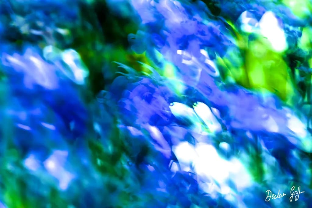 Magic Dance of Bluebells