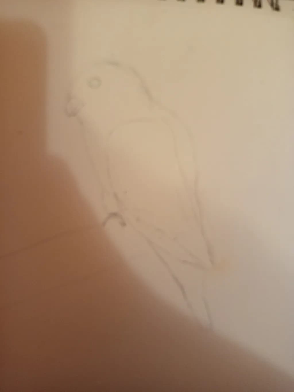 Perched Outline