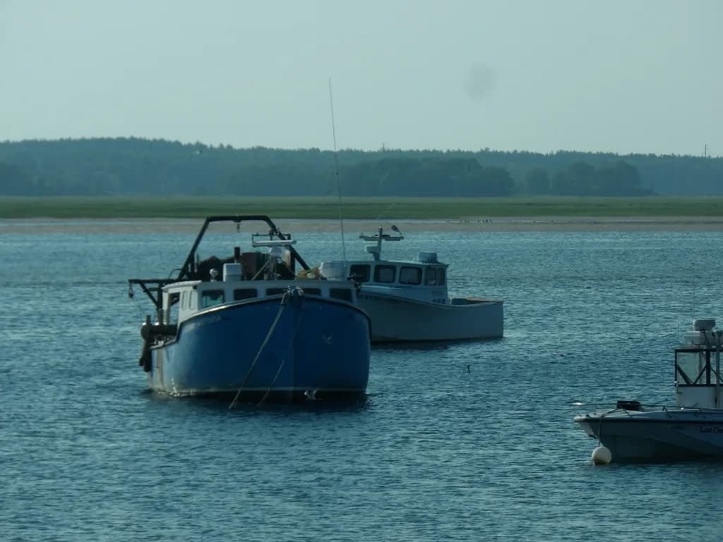 Harbor Trio