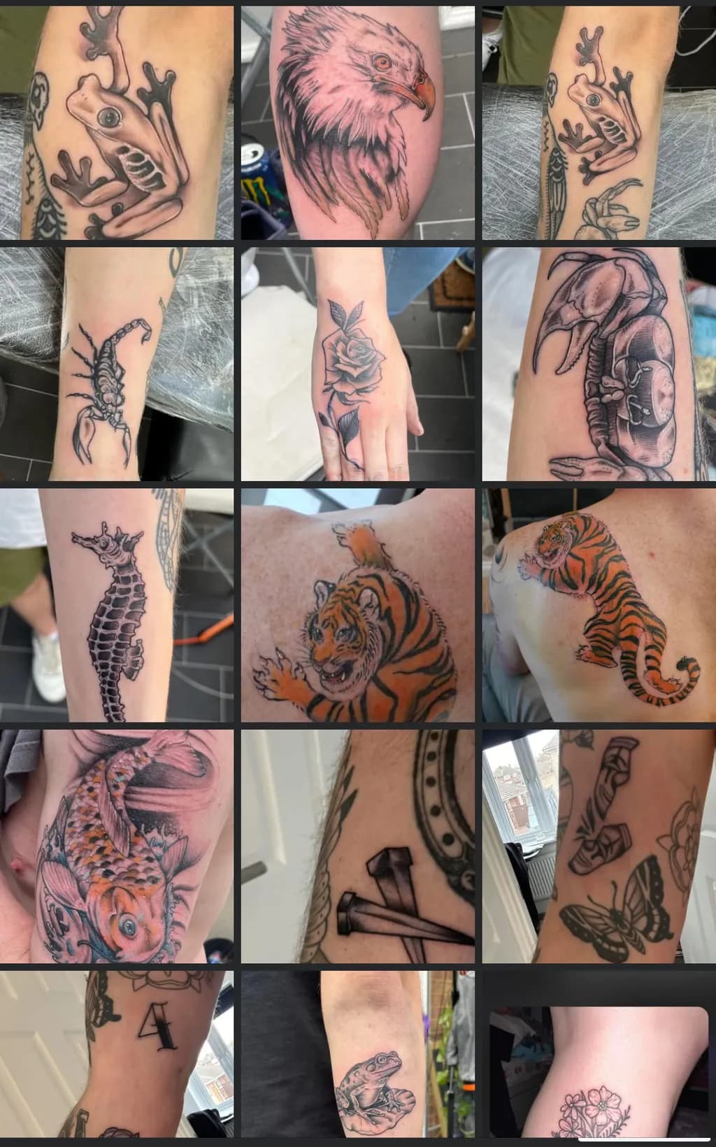 Wildlife Tattoo Collection