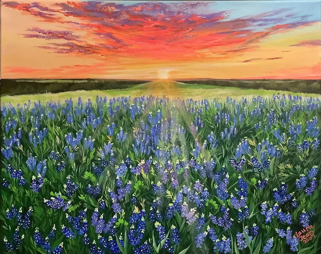 Bluebonnet Horizon