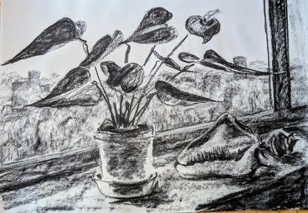 Windowstill Life
