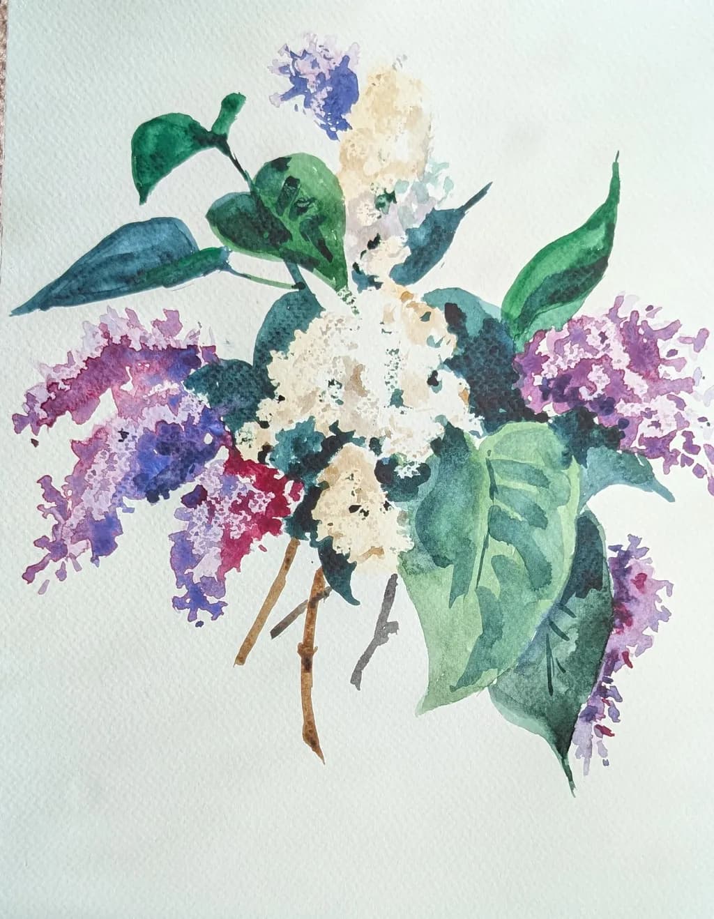 Lilac Harmony