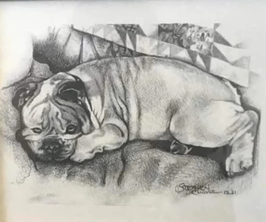 Resting Bulldog