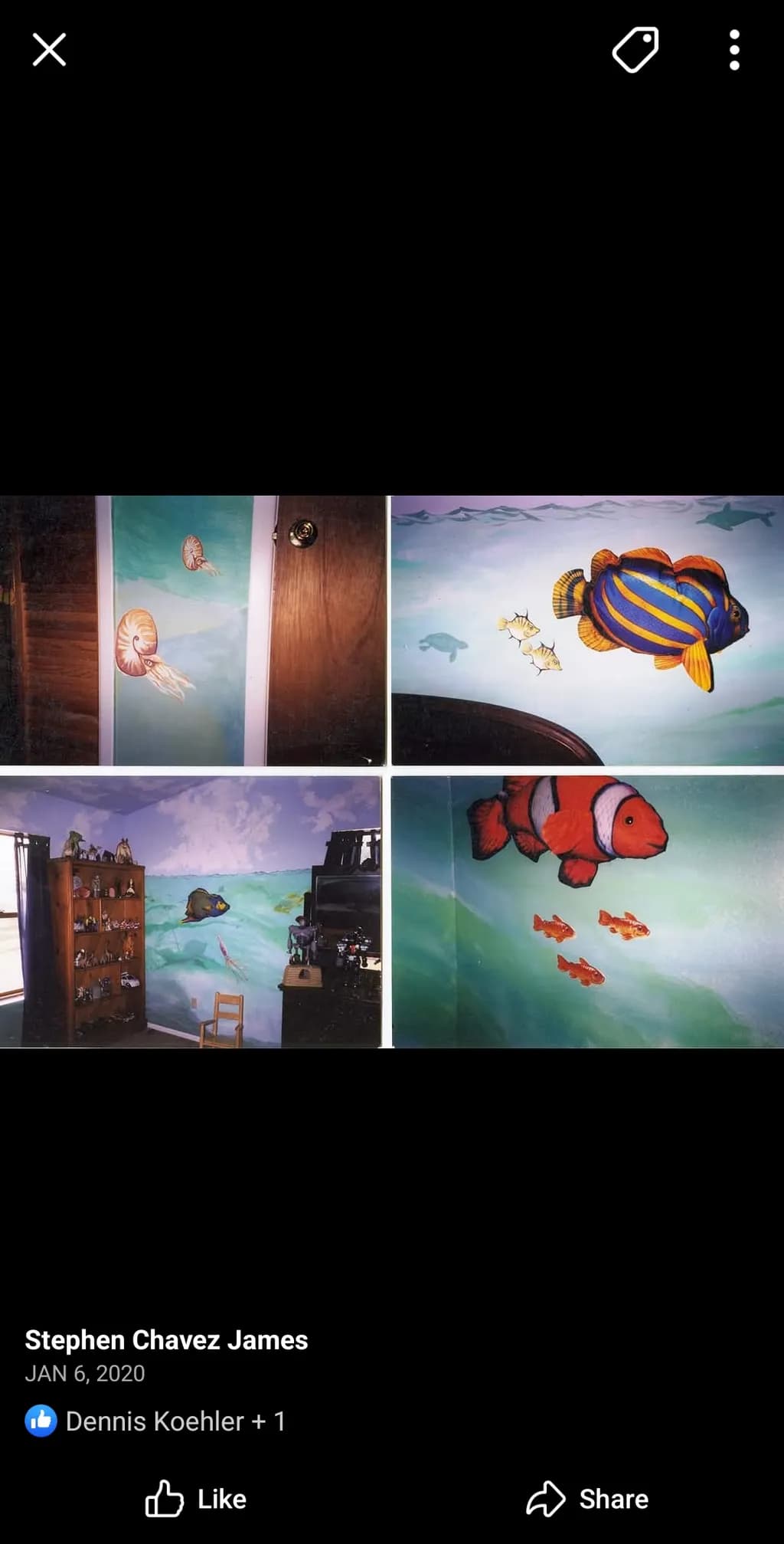 Underwater Panorama
