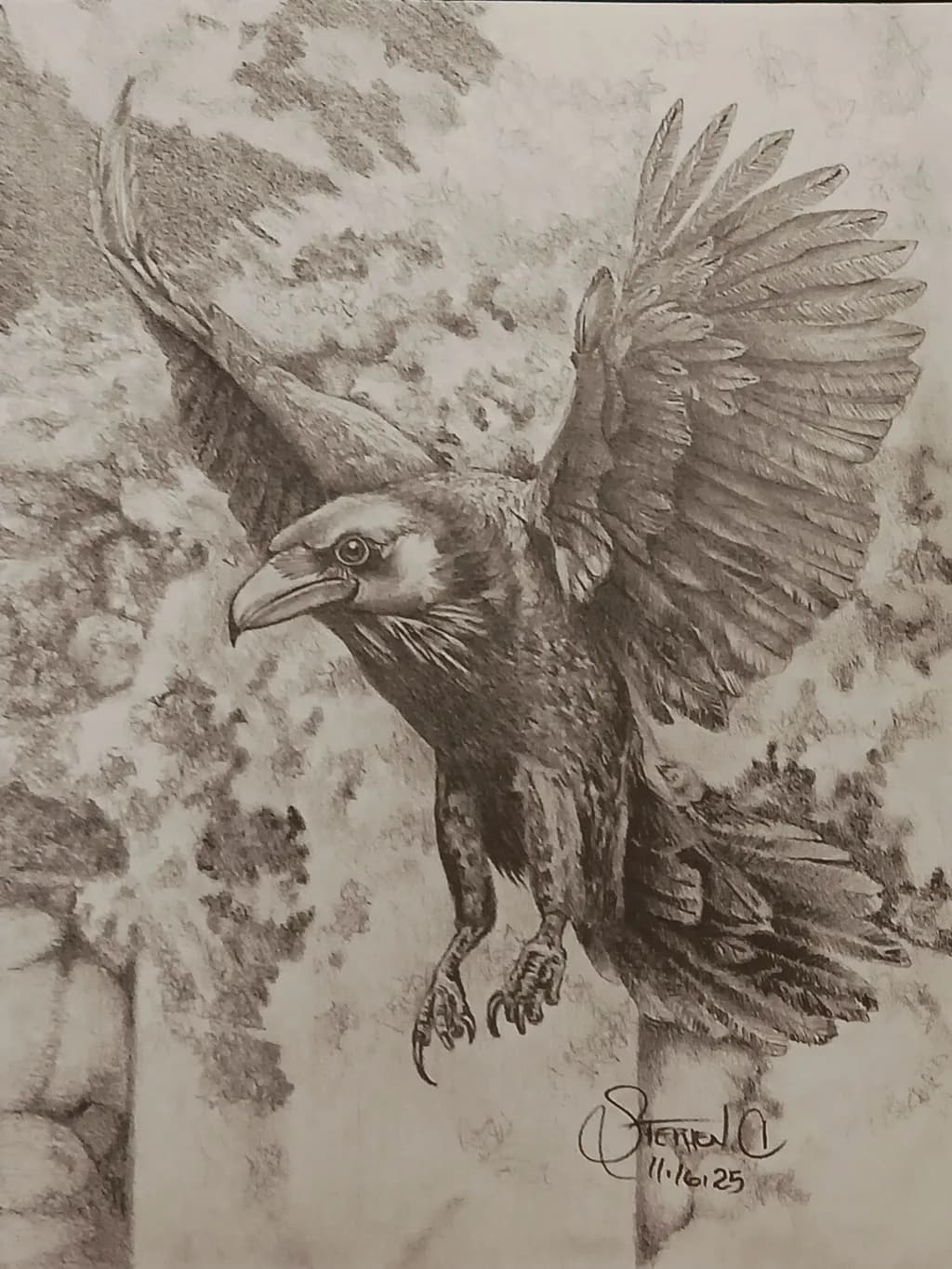 Soaring Raven