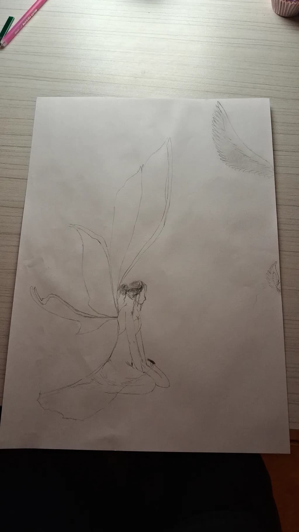 Silent Wings