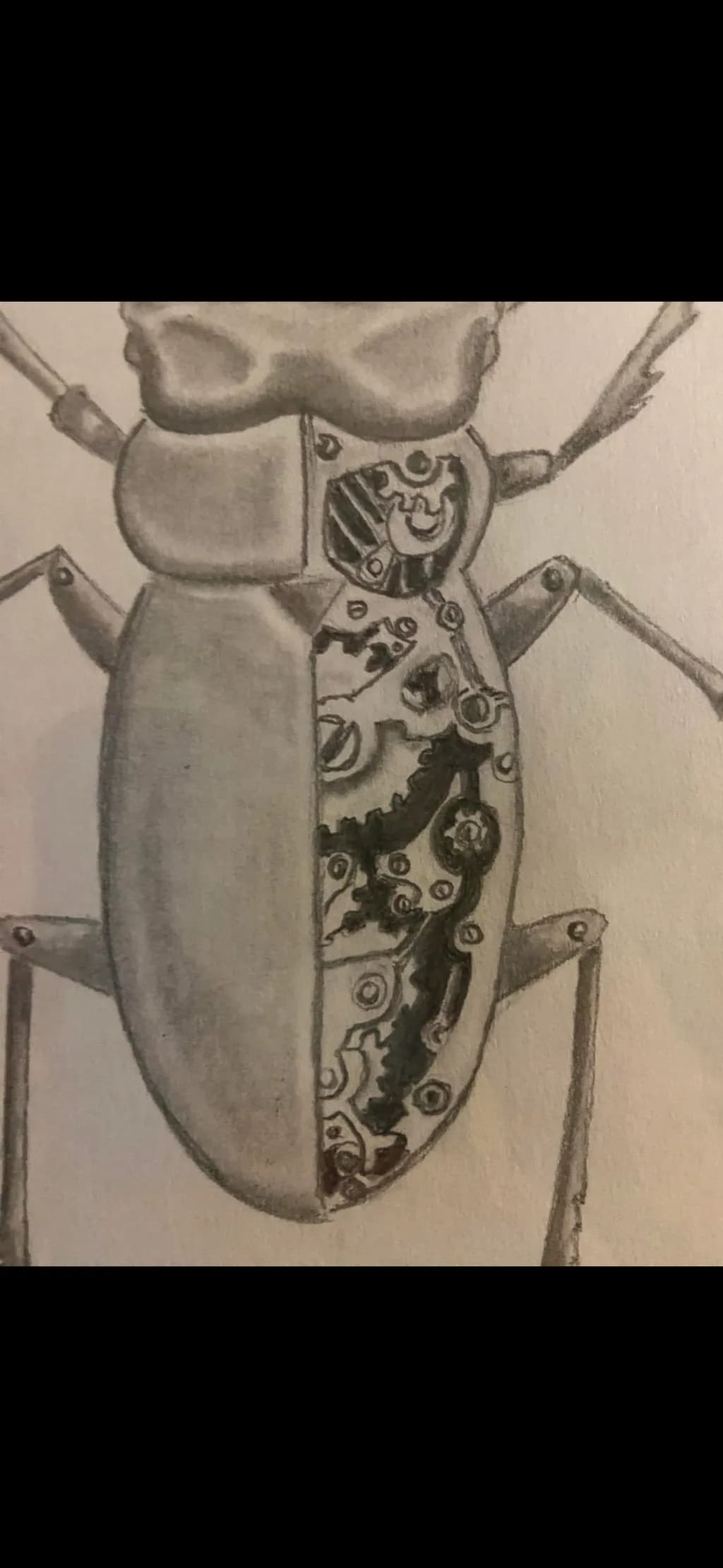Mechanical Beetle Fusion