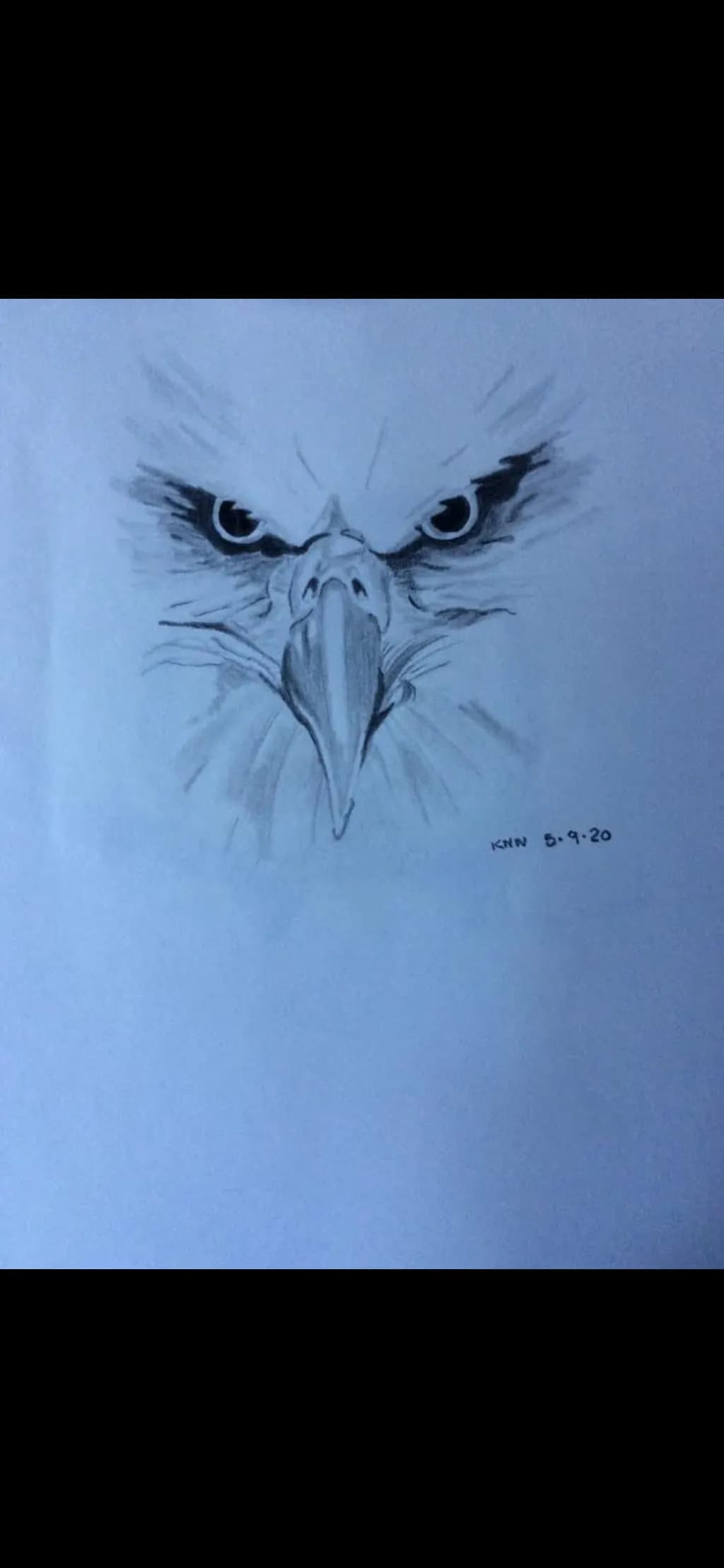 Predator's Gaze