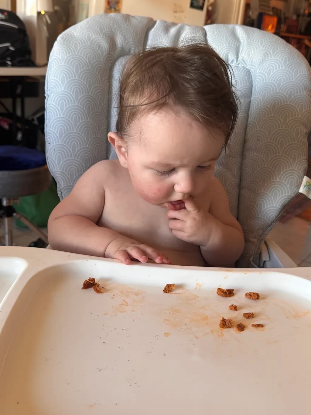Highchair Crumbs