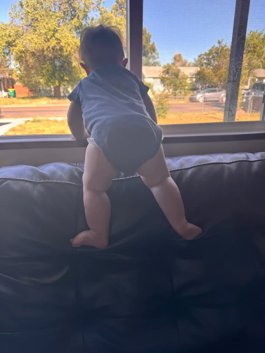 Curious Baby at Window