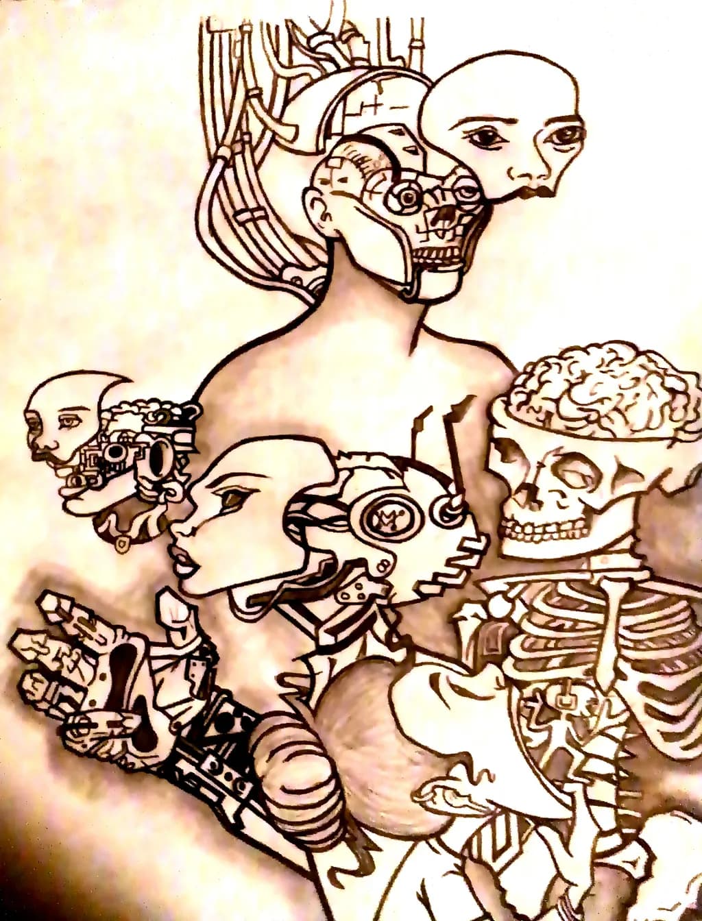 Mechanical Anatomy Fusion