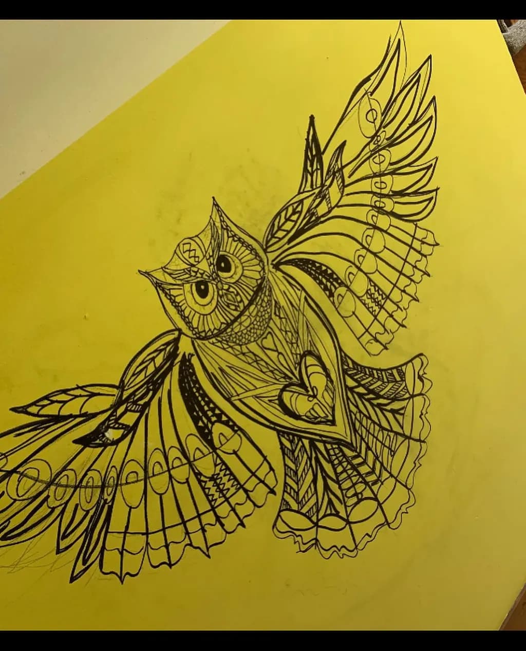 Detailed Owl Sketch