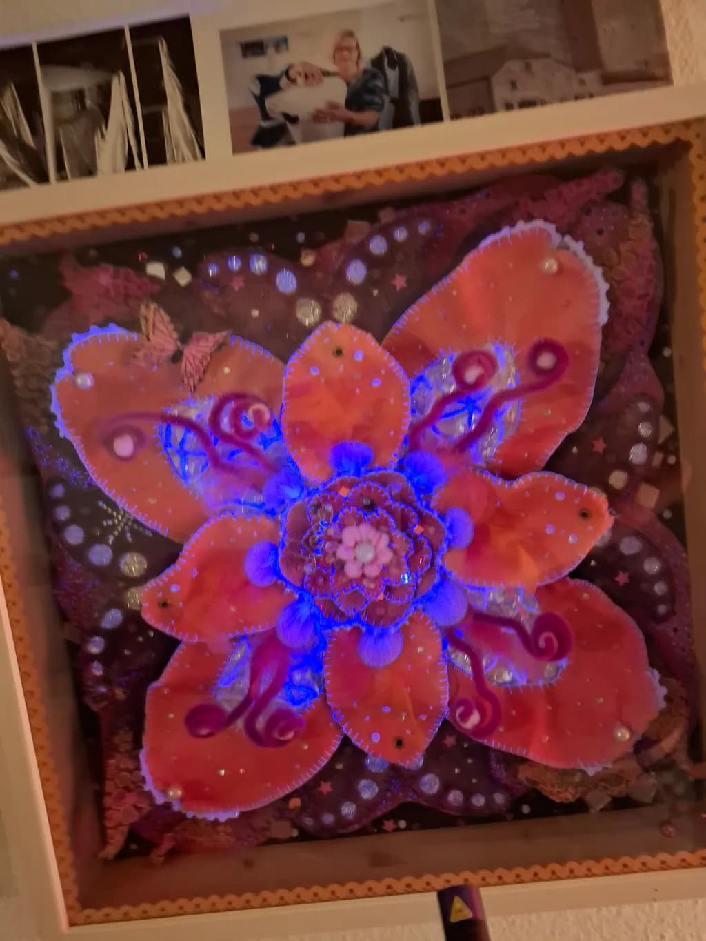 Radiant Bloom