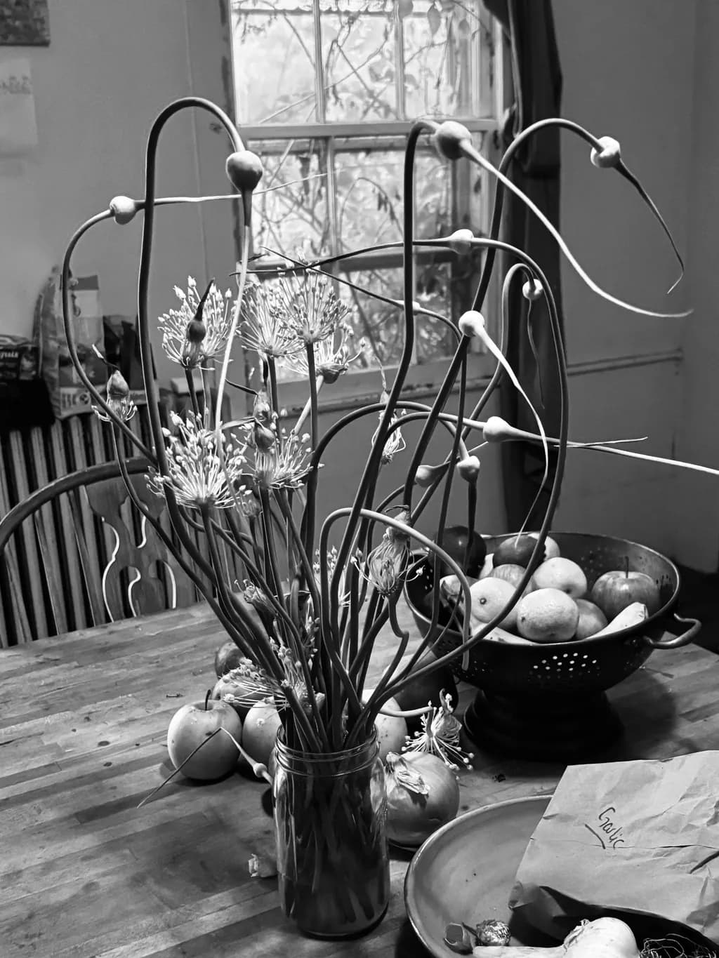 Garlic Bloom