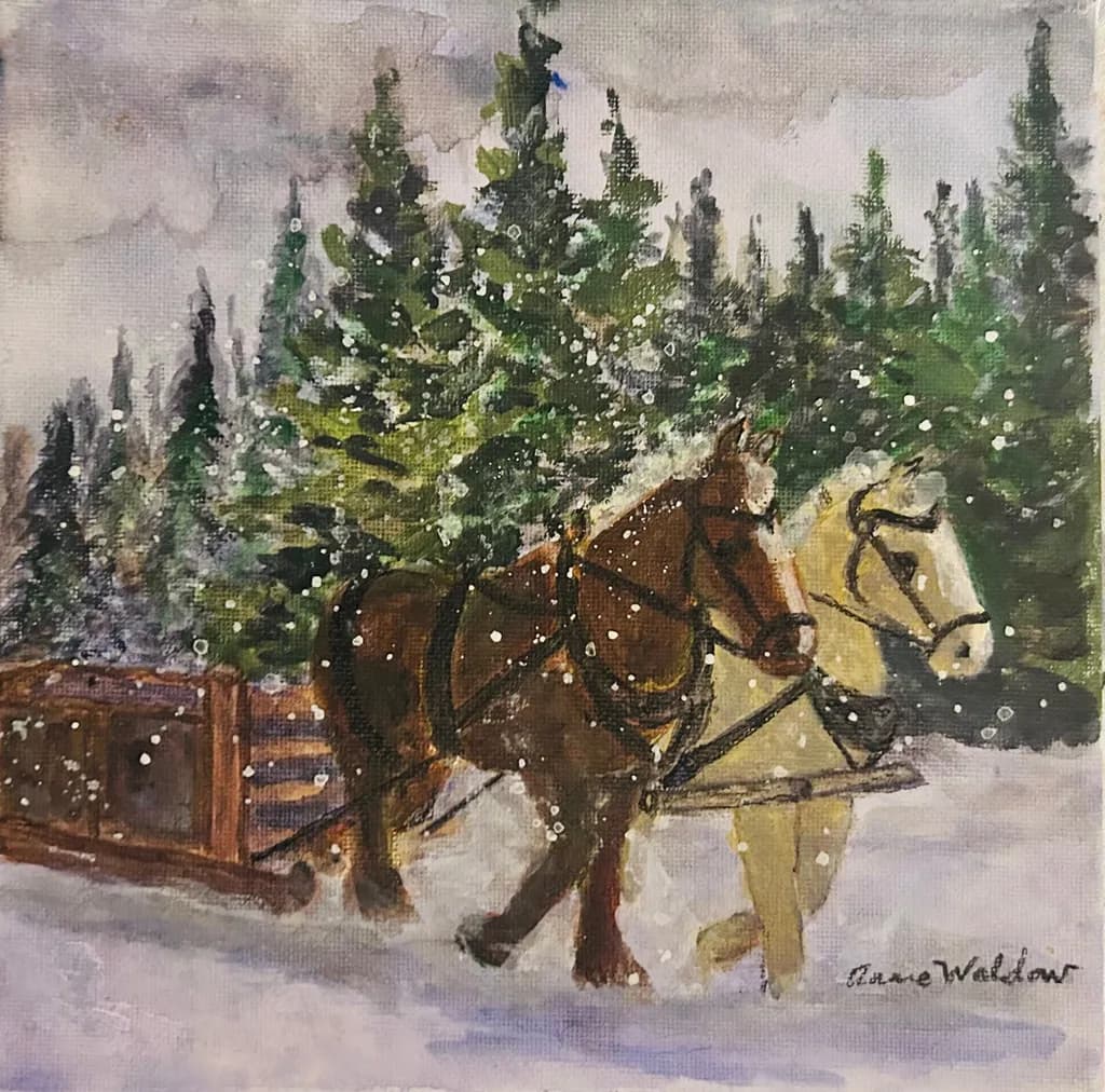 Winter Team in Snow