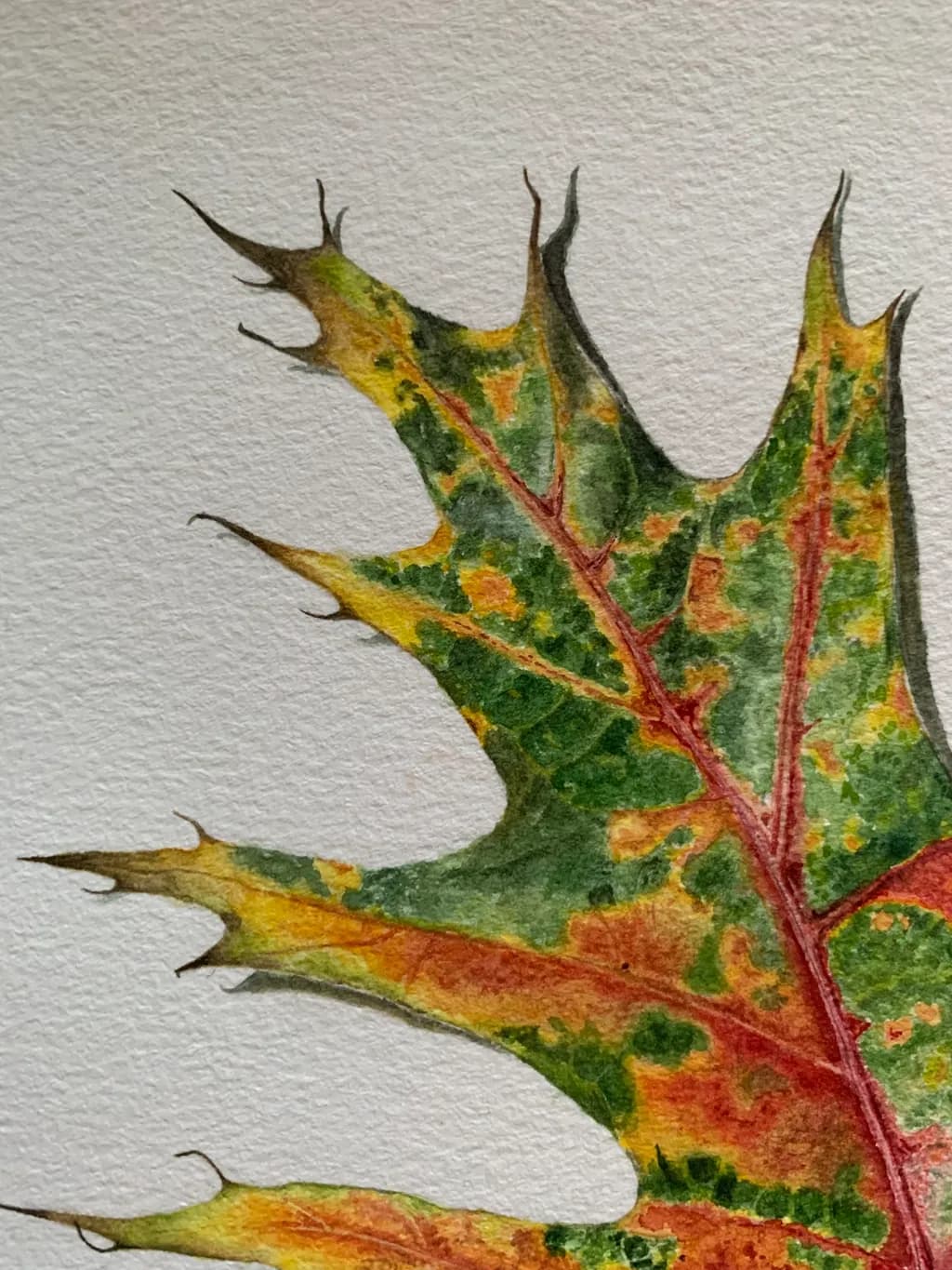Autumn Oak Fragment