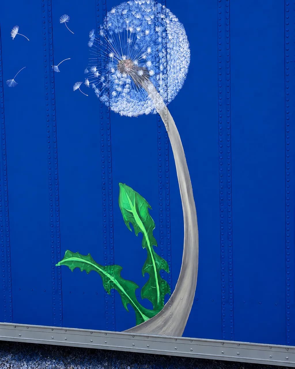 Dandelion Drift