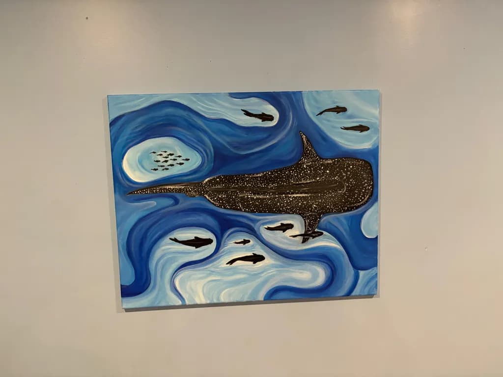 Stellar Whale Shark