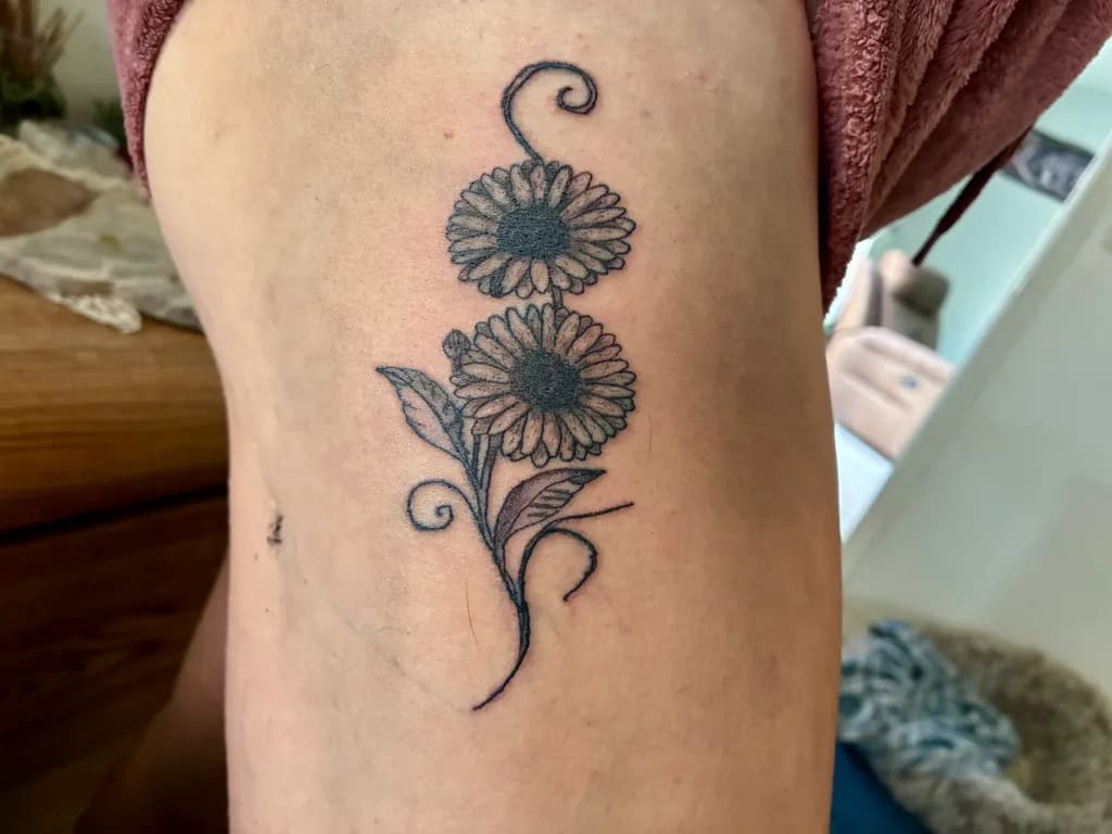 Sunflower Stems