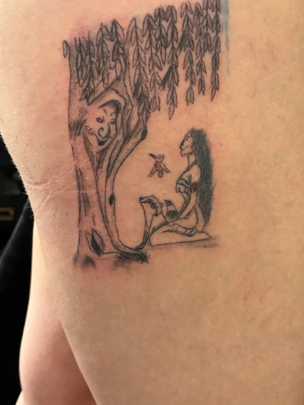 Willow Guardian