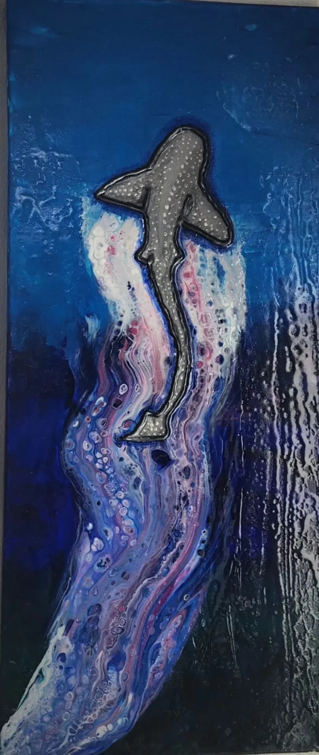 Jet Stream Shark