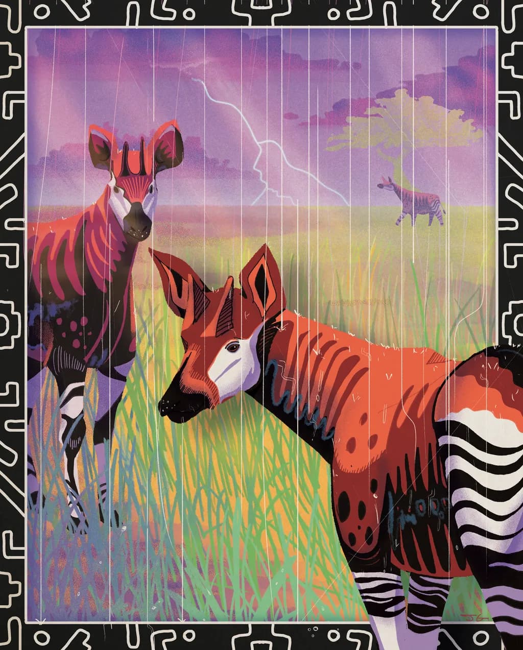 Okapi