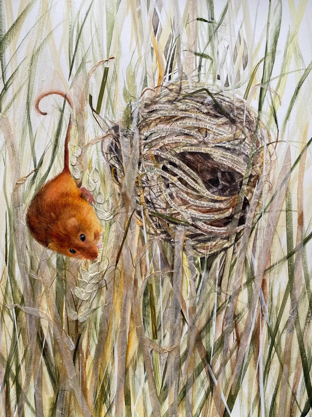 Mouse and Nest