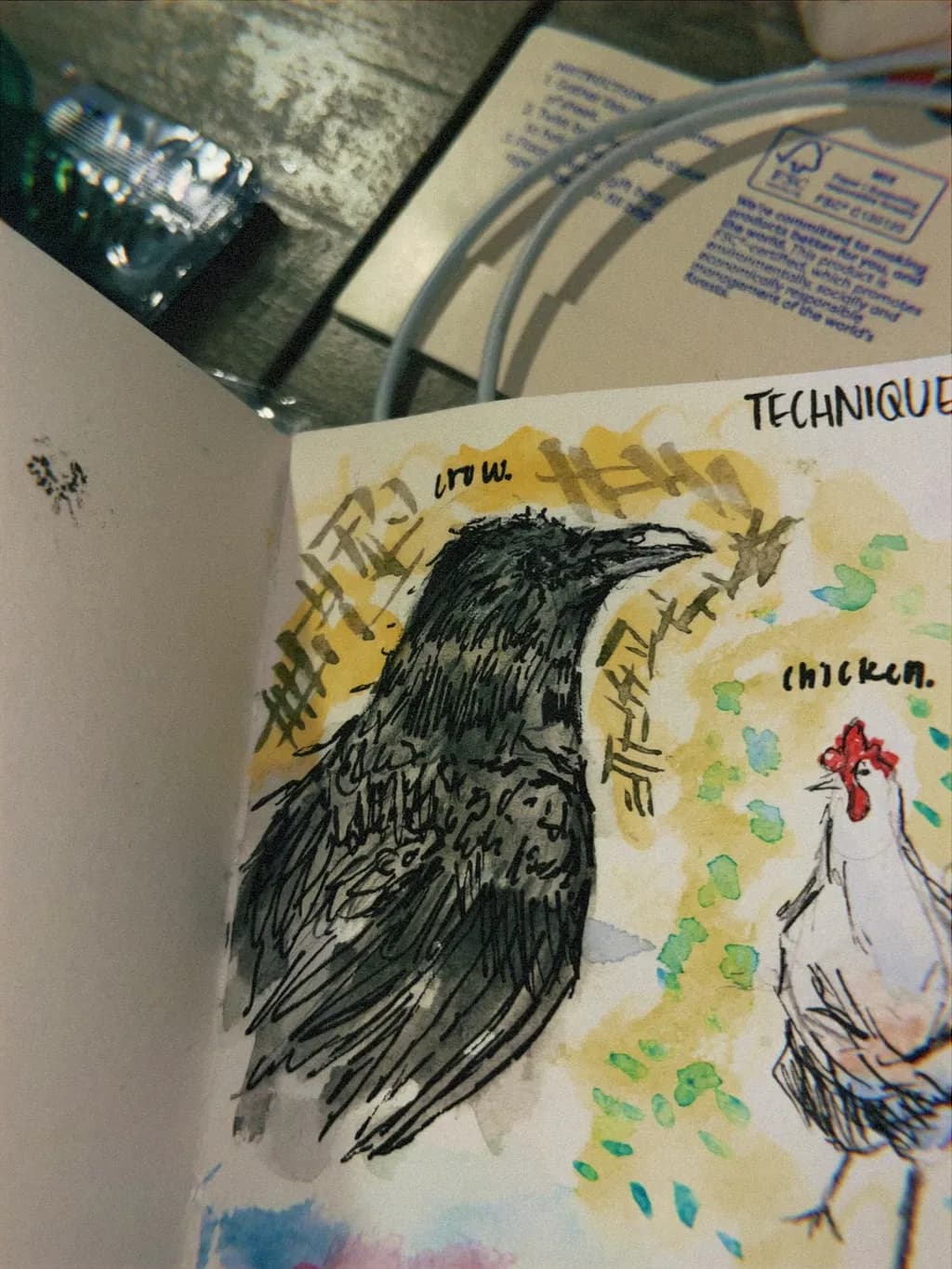 Crow and Chicken Contrast