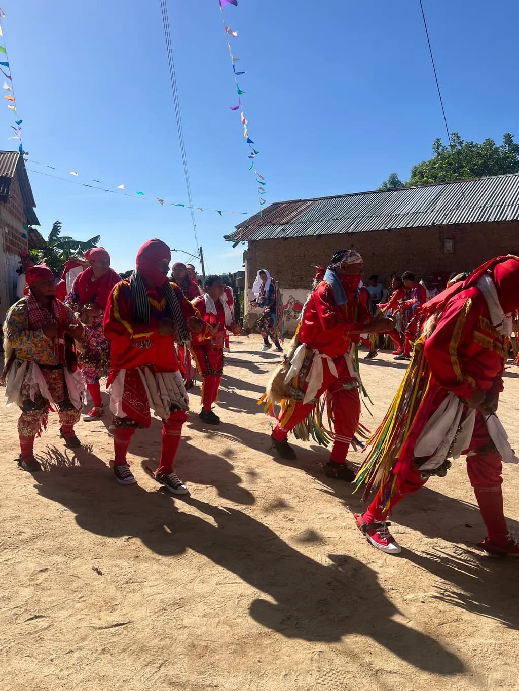 Masked Dance Celebration