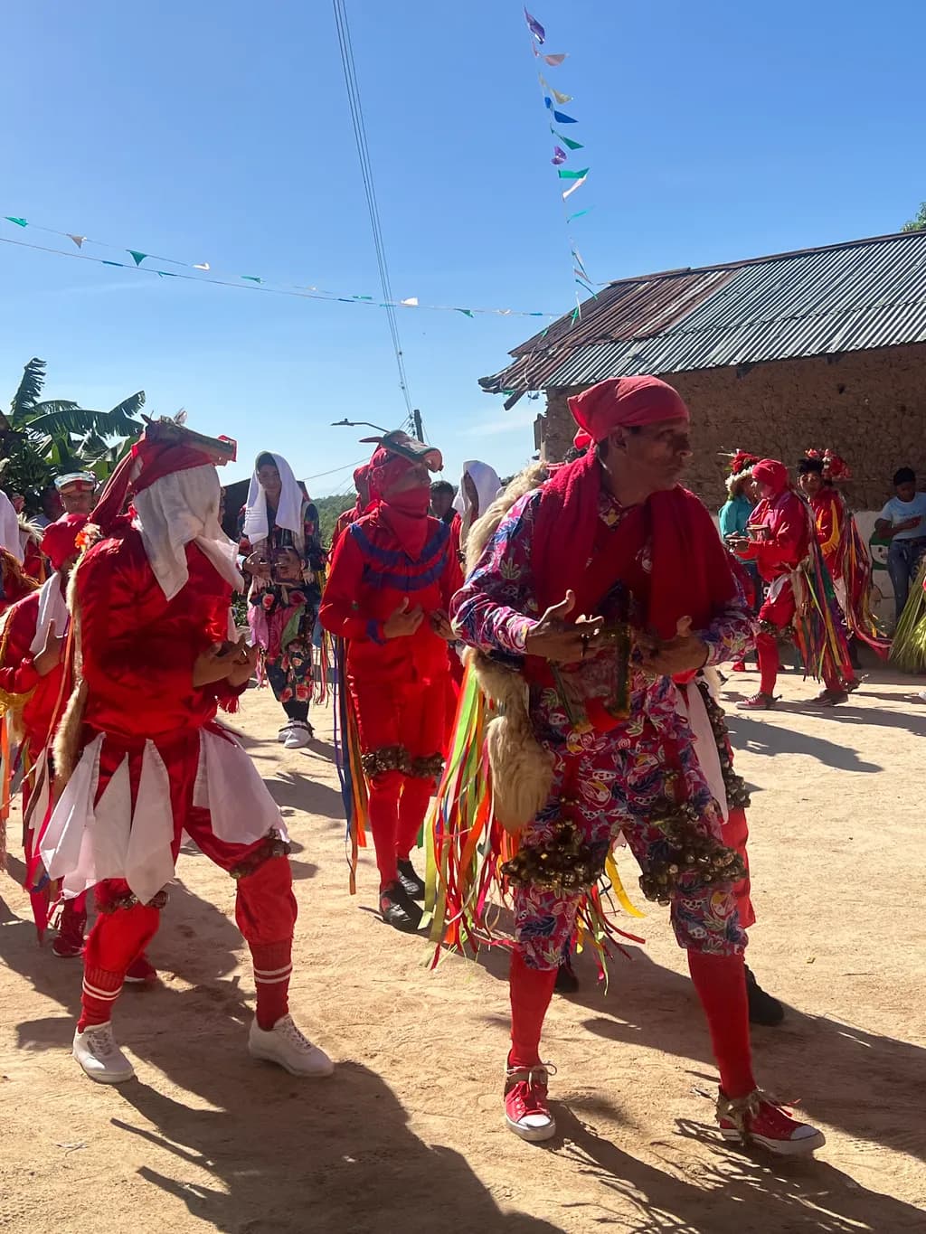 Traditional Dance Celebration
