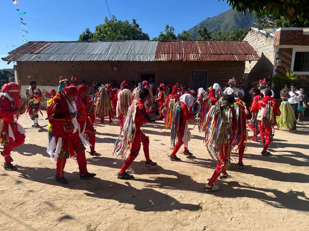 Dance of the Festival