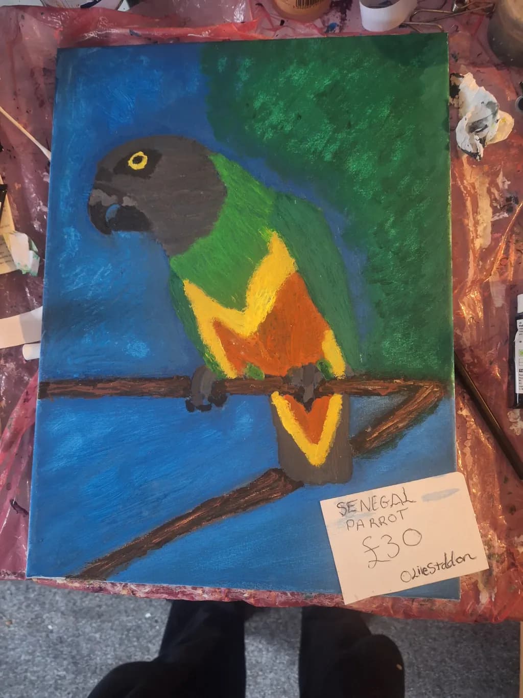 Senegal Parrot Perch