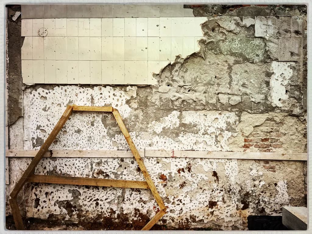 Weathered Wall Ladder